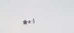 Star 925 Silver Stud Earrings