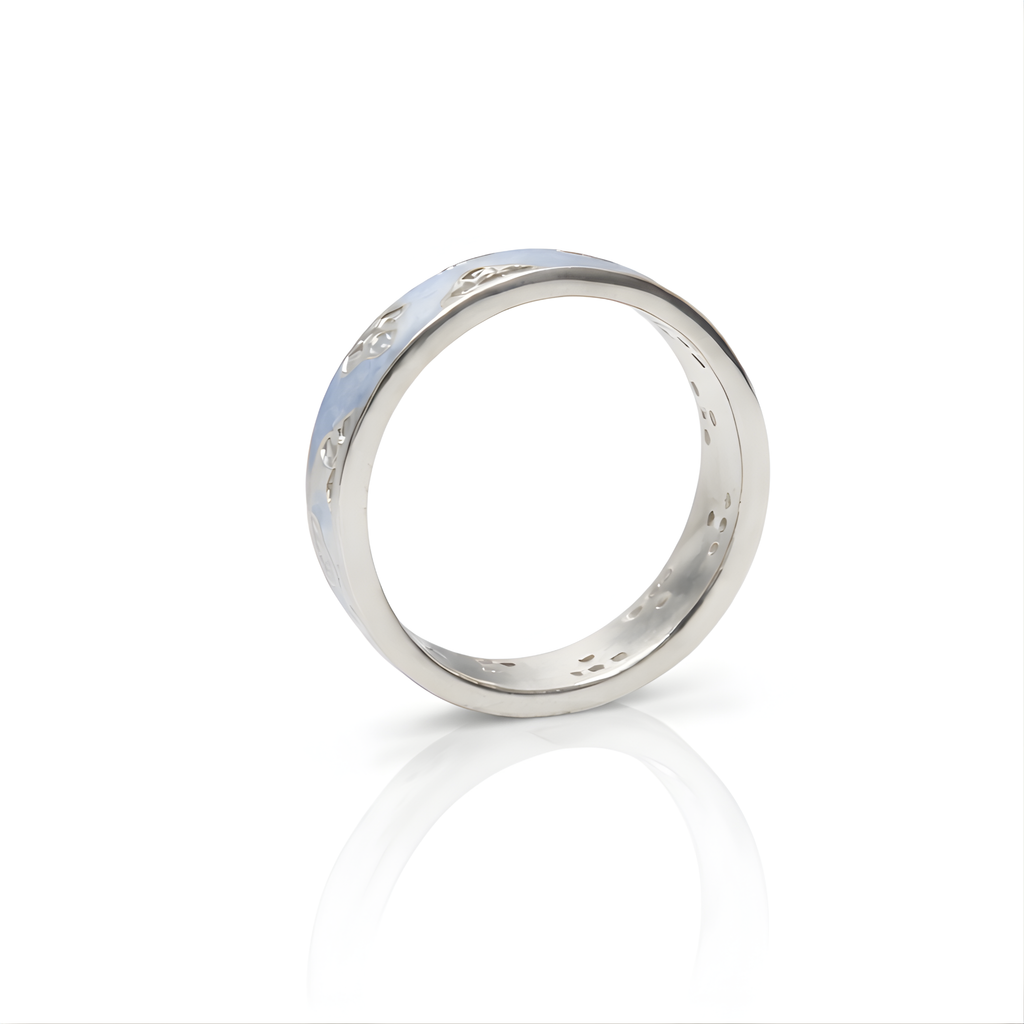 Fits Every Mood 925 Silver Ring